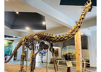 B M Birla Science Centre