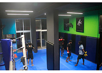 BRUTE MMA & Fitness BRUTE MMA & Fitness