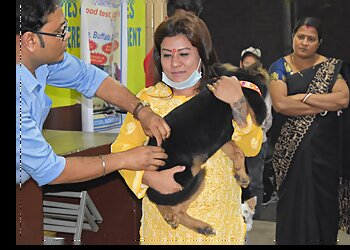 Siliguri Veterinary Hospitals Bajla Medico image 1