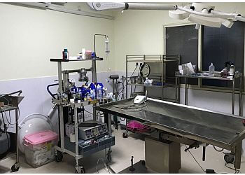 Bangalore Pet Hospital