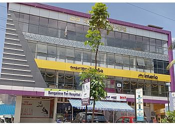 3 Best Veterinary Hospitals in Bengaluru, KA - ThreeBestRated