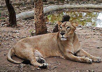 Bannerughatta Biological Park
