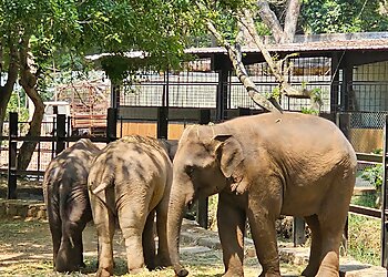 Bangalore Tourist Attractions Bannerughatta Biological Park image 1