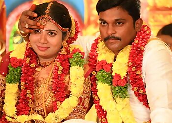 Bee studio photography