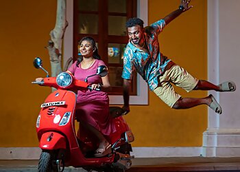 Bee studio photography