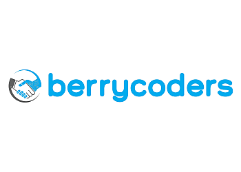 Berrycoders Digital Marketing Agency