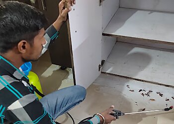 Best Pest Control Service