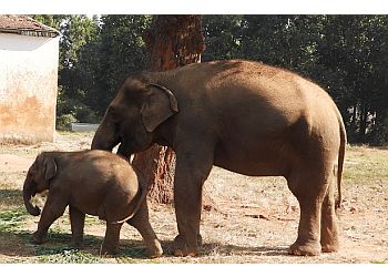 Bhagwan Birsa Biological Park