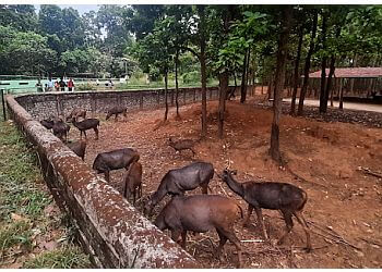 Bhagwan Birsa Biological Park