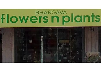 Bhargava Flowers n Plants