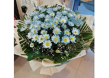 Bhargava Flowers n Plants