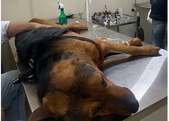 Bhow & Meaw Pet Clinic & Surgical Centre