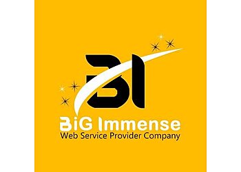 Meerut Web Designers Big Immense image 1