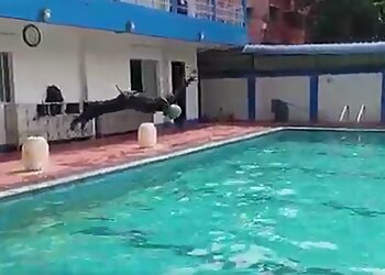 Bikash Ghosh Memorial Swimming Pool