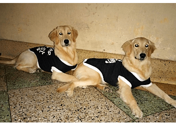 Bird Animal Healthcare