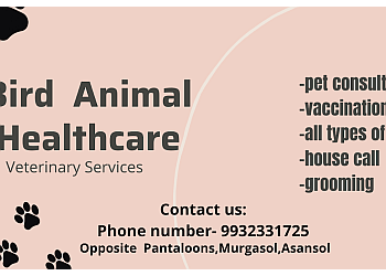 Bird Animal Healthcare