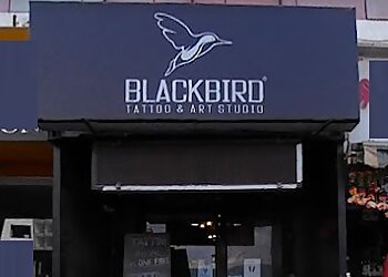 Blackbird Tattoo & Art Studio