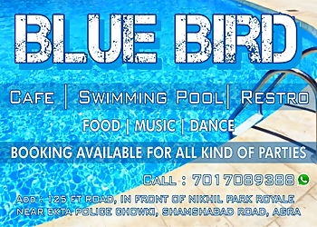 Blue Bird Swimming Pool & Snooker