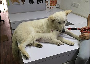 BlueCross Pet Clinic