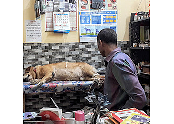 Blue Cross Pet Clinic