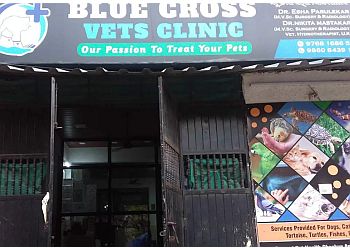 Blue Cross Vets Clinic