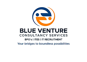 Blue Venture Consultancy Services