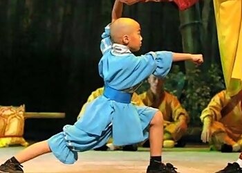 Buddhist Kung Fu Federation Of India