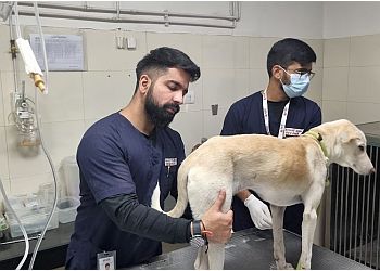 CGS Veterinary Hospital