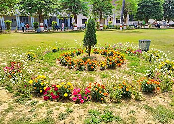 C.M.P. Degree College