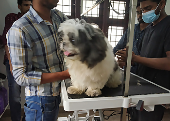 CVC Veterinary hospital & Grooming Center