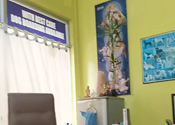 Care Veterinary Clinic