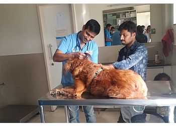 Cessna Lifeline Veterinary Hospital Domlur