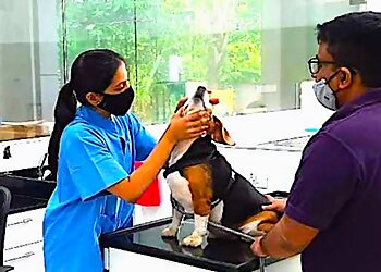 Cessna Lifeline Veterinary Hospital Navi Mumbai