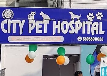 City Pet Hospital