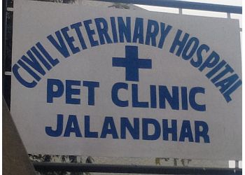 Civil Veterinary Hospital Pet Clinic