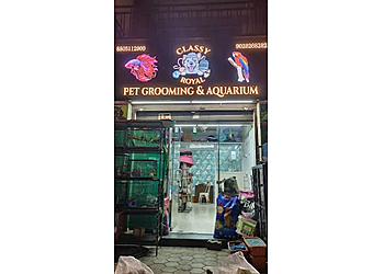 Classy Royal Pet Grooming & Aquarium