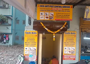 Vasai Virar Pest Control Services Cock-Ants Pest Control Services image 1