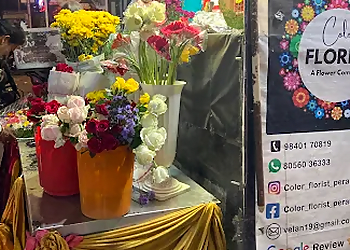Color Florist