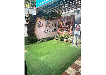 Color launge unisex salon