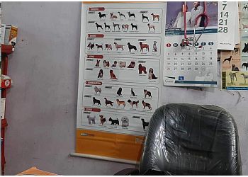 Companion Pet Clinic