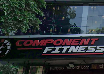 Component Fitness