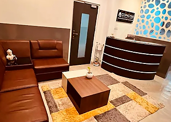 Concise International