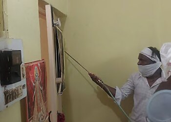 Continental Pest Control