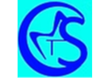 Core Minds Tech Solutions