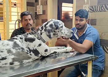 Cotton City Pet's Poly Clinic