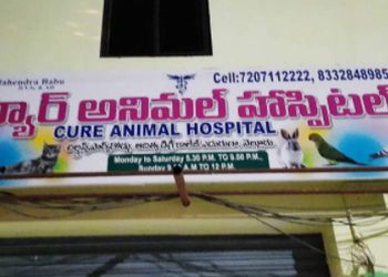 3 Best Veterinary Hospitals in Nellore - Expert Recommendations