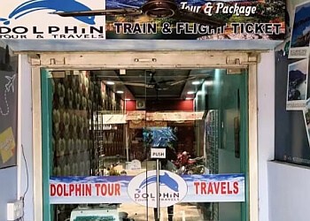 DOLPHIN TOUR & TRAVELS