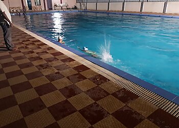 Dolphin Swimming Pool