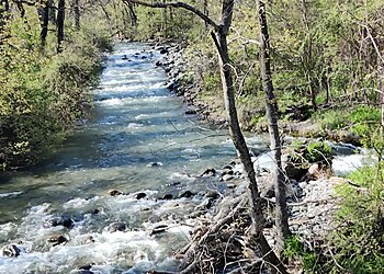Dachigam National Park