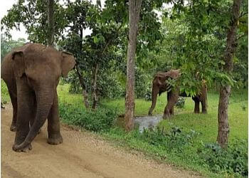 Dalma Wildlife Sanctuary